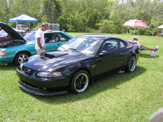 blackbullitt.jpg
