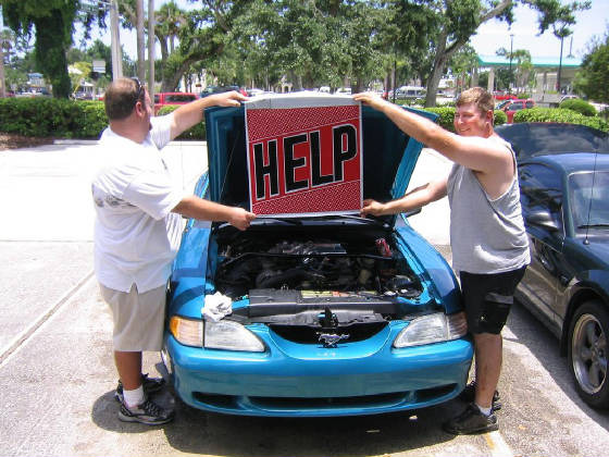 help1.jpg