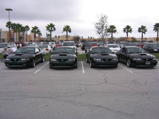 waterfordfront4.jpg